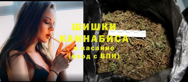 дживик Заводоуковск