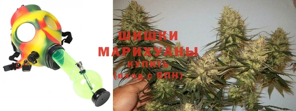 дживик Заводоуковск