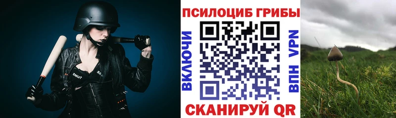 Галлюциногенные грибы MAGIC MUSHROOMS  Купить  Елец 